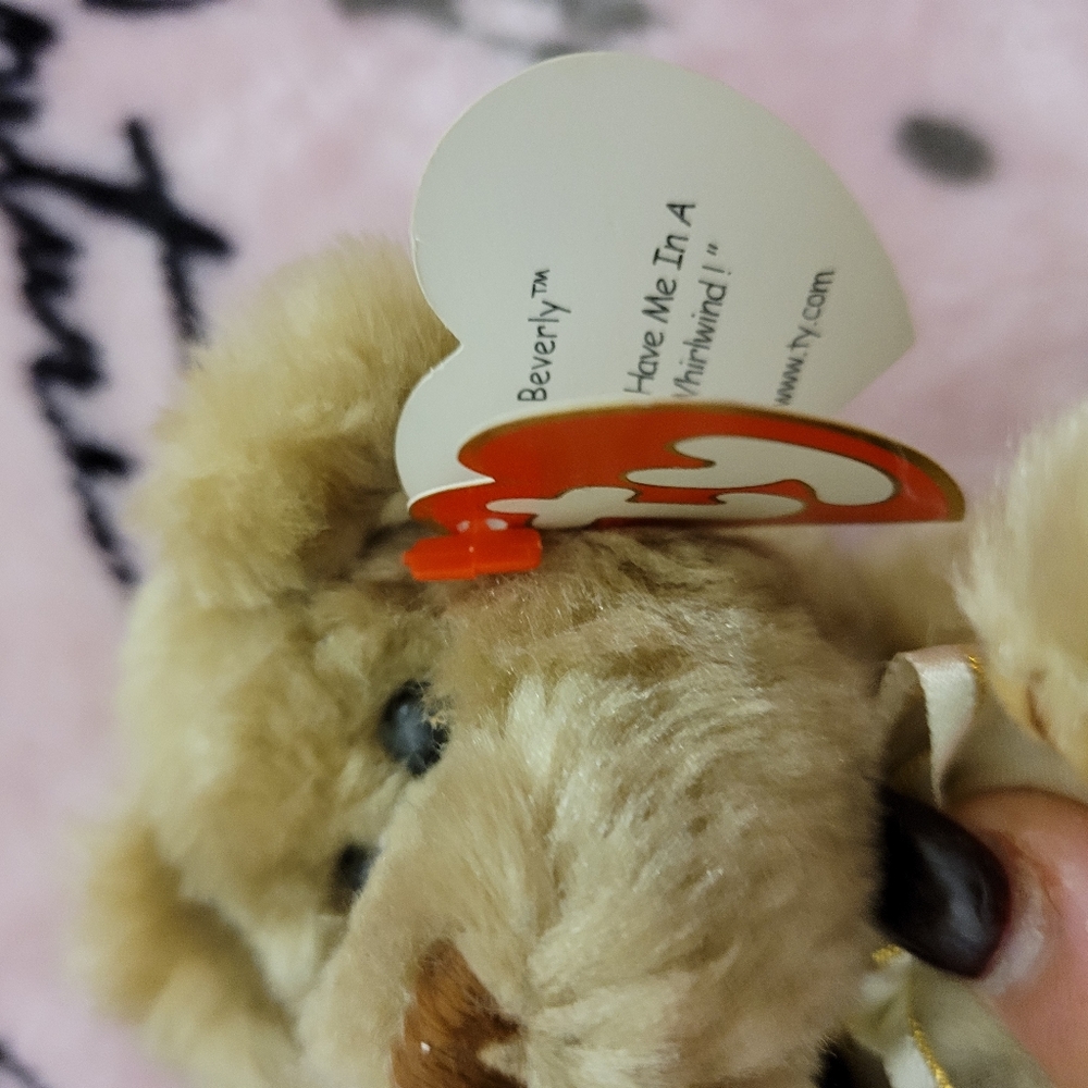 Ty bear - Picture 3 of 4